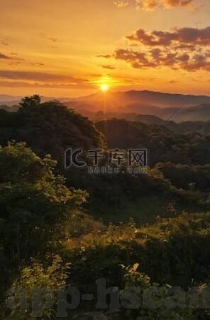 大象娱乐视频-大象娱乐视频,为生活添彩的创意平台