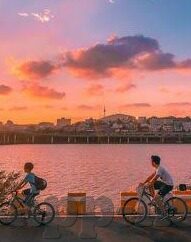 伦理网-伦理网，编织人类行为与道德的复杂织锦